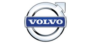 Volvo Fuel injector